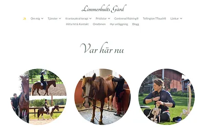 limmerhultsgard.se snapshot