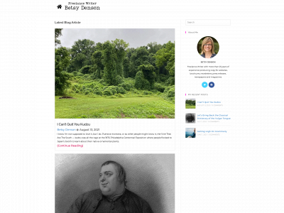 betsydenson.com snapshot