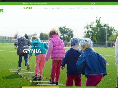 gynia.lt snapshot