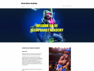 olcaydanceacademy.be snapshot
