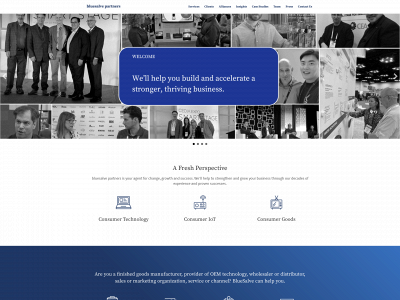 bluesalve.com snapshot