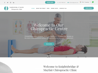 chiropracticlondon.co.uk snapshot