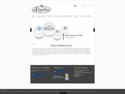 grupoalgalia.es snapshot