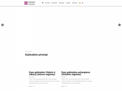 sintesi.lt snapshot