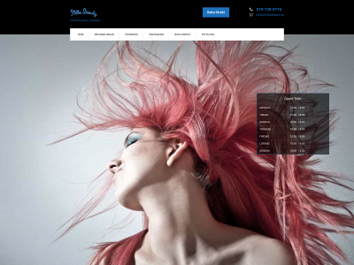 millabeauty.se snapshot