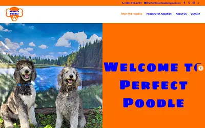 perfectpoodle.org snapshot