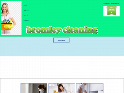 bromleycleaningservice.co.uk snapshot