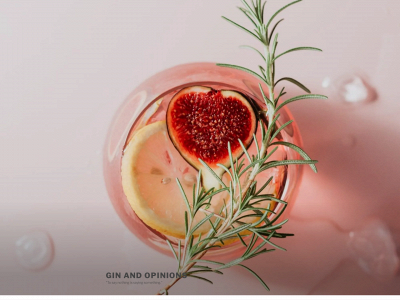 ginandopinions.com snapshot