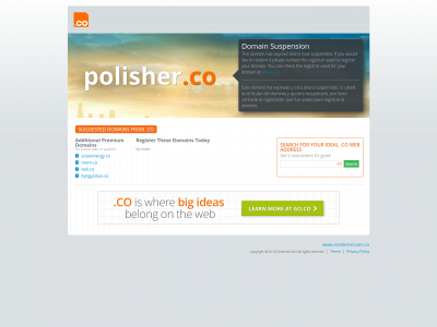 polisher.co snapshot