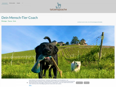 tatzensprache.de snapshot