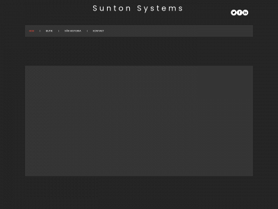 suntonsys.com snapshot