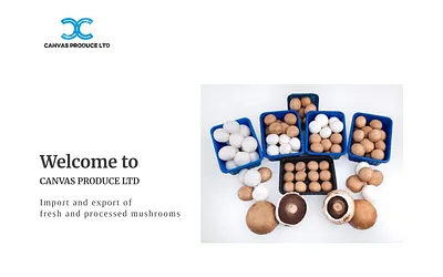 canvasproduce.com snapshot