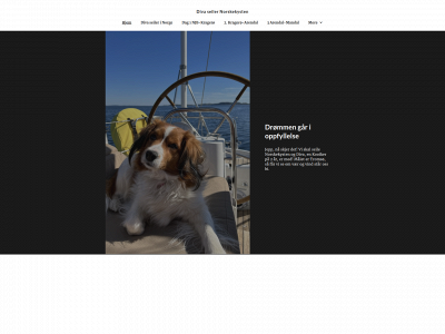 divaseilernorskekysten.simplesite.com snapshot