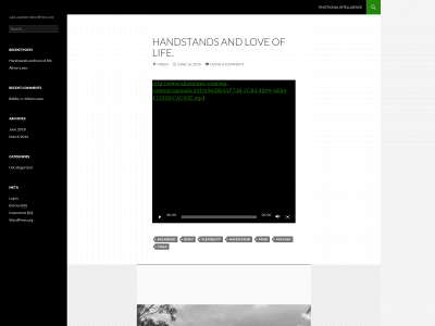 alisonlaws.com snapshot