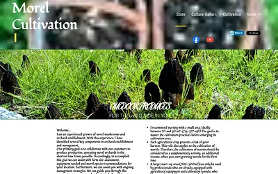 morelcultivation.com snapshot