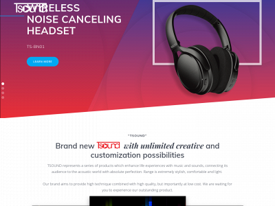 tsoundbrand.com snapshot