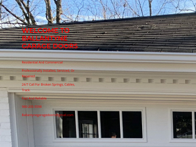 ballantynegaragedoors.com snapshot