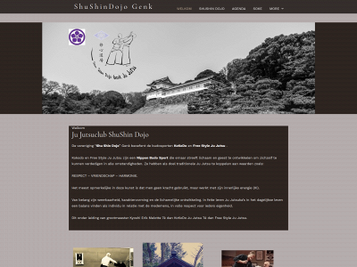 shushingenk.be snapshot