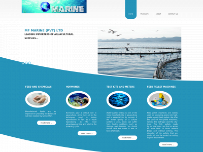 mf-marine.com snapshot