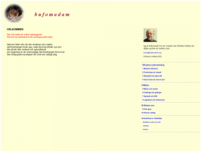 bufomadam.org snapshot