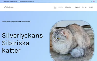 silverlyckanskatter.se snapshot