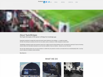 taylorbridgesconsultancy.com snapshot