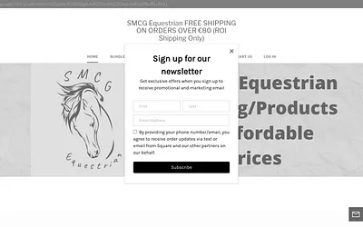 www.smcgequestrian.com snapshot