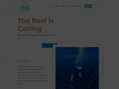 getsaltyreef.com snapshot