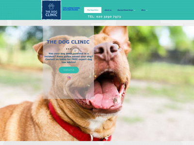 thedogclinic.co.uk snapshot