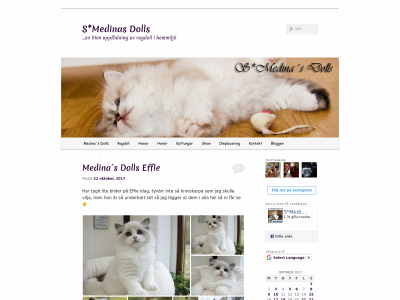 medinasdolls.se snapshot