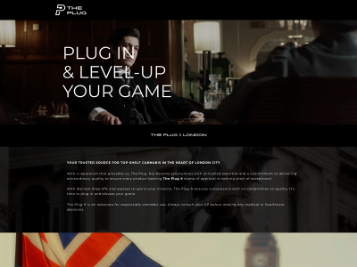 theplug.london snapshot