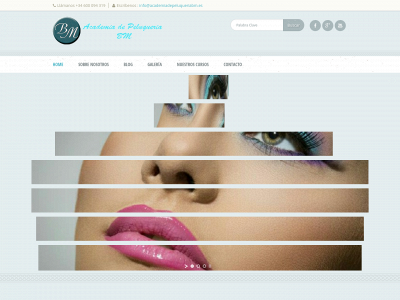 academiadepeluqueriabm.es snapshot