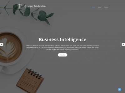 evergrndatasolutions.com snapshot