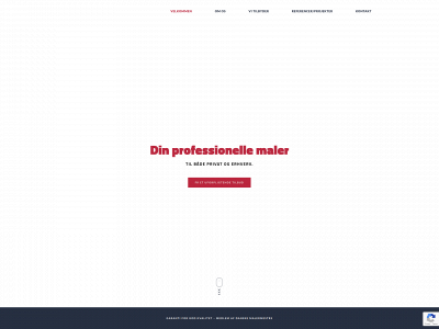 dlmalerfirma.dk snapshot