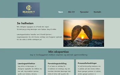 reasony.no snapshot