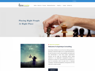 experteyeconsulting.com snapshot
