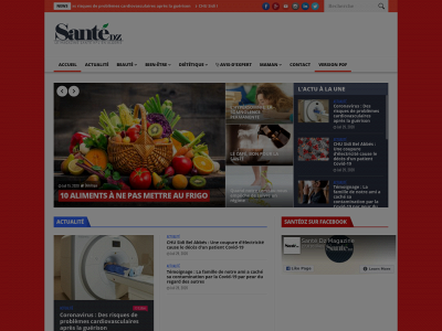 santedzmag.com snapshot