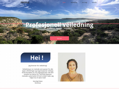 profesjonellveiledning.no snapshot