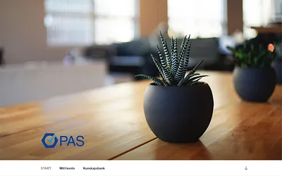 pasprecision.se snapshot