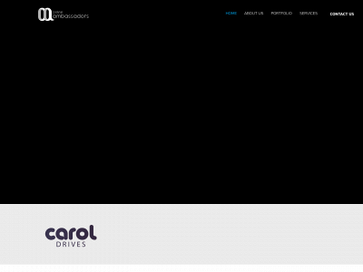 onlineambassadors.net snapshot