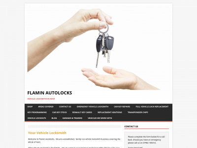 flaminautolocks.co.uk snapshot