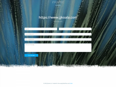 jjkoala.com snapshot