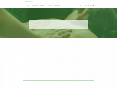 www.fisiobalear.es snapshot