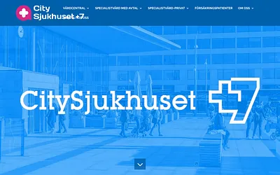 citysjukhuset.se snapshot