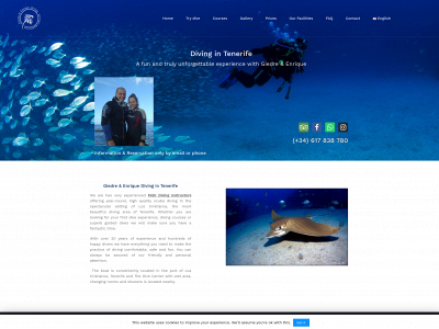 tenerife-scuba.com snapshot