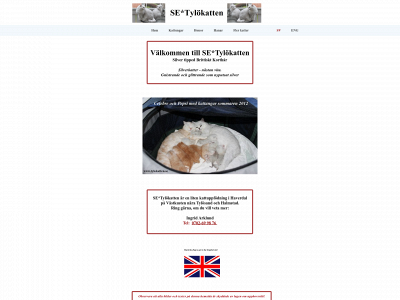 tylokatten.se snapshot