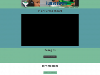 furesoe-esport.com snapshot