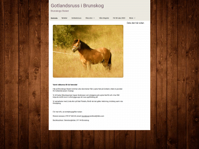 gotlandsrussibrunskog.se snapshot