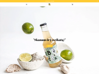 bukcia.lt snapshot