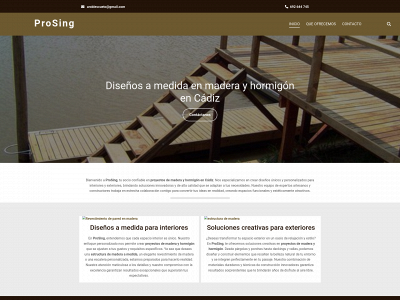 proyectosingularcadiz.com snapshot